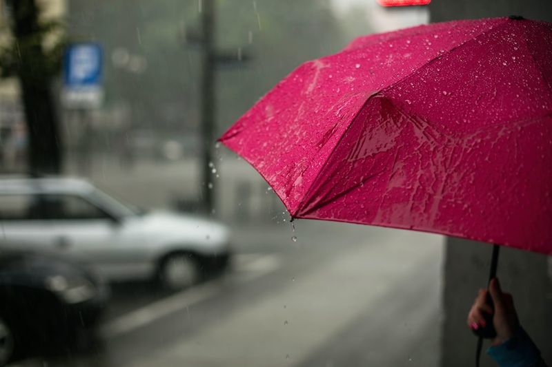 間歇降雨增加國軍展專業噴能力 防治登革熱抗疫人力需求增長40名間歇降雨,國軍展,專業噴能力,防治登革熱,抗疫,人力