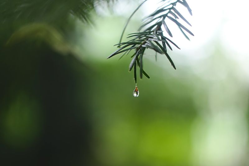 北市暴雨成天災！重慶北路悲情淹水悲喊三問號，張曉忠帶著殘念還真的「步行推車」北市暴雨,天災,重慶北路,淹水,張曉忠,步行推車